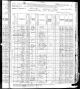 1880 United States Federal Census - John Henderson