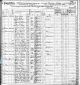 New York State Census - 1875 -Appleton Nims 