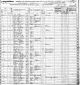 1875 New York Census - Alonzo Nims Family