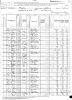 1880 United States Census - Alonzo Nims